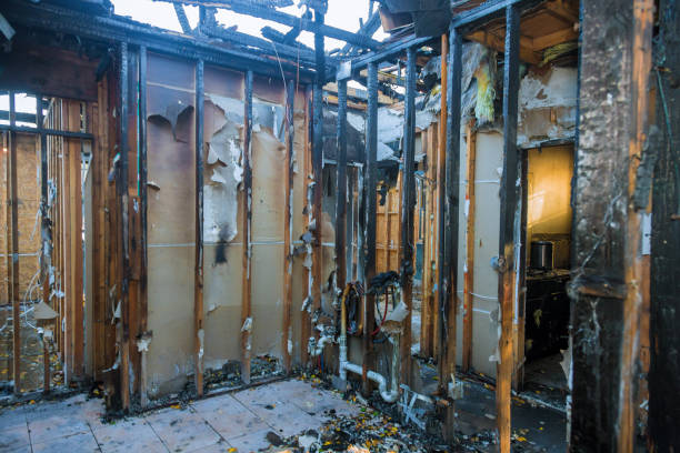 Professional Odor Removal technician working in Breckenridge Hills, MO